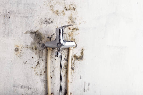 Best Mold Remediation  in Cumberland Center, ME