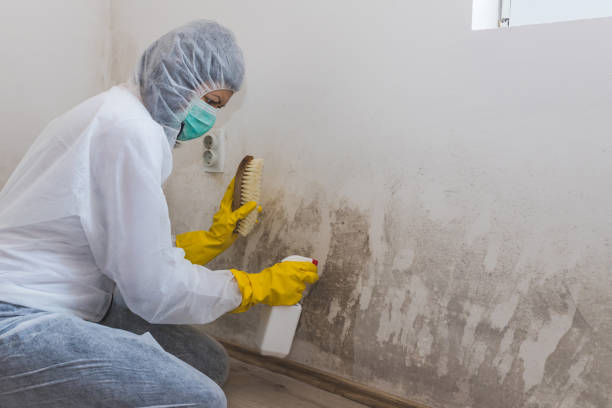 Best Residential Mold Removal  in Cumberland Center, ME