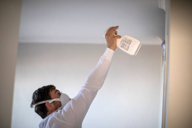 Best Mold Removal Near Me  in Cumberland Center, ME