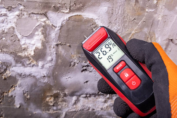 Best Mold Remediation Services  in Cumberland Center, ME