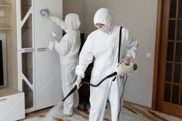 Mold Testing and Removal in Cumberland Center, ME